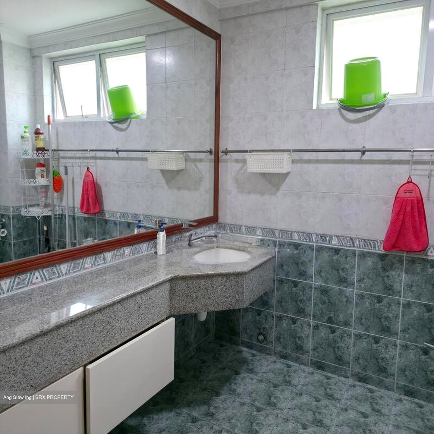 The Springside (D26), Terrace #509508501